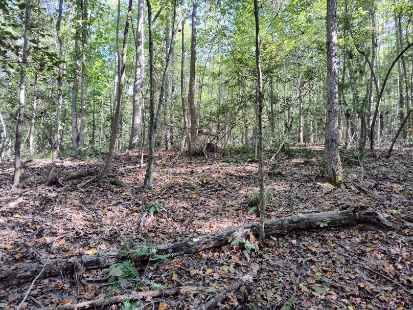 IMG_20231009_151108238_HDR