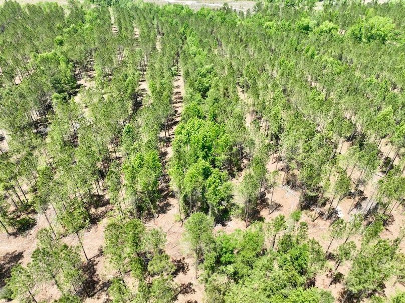 dji_fly_20260429_133802_631_1777484758059_photo