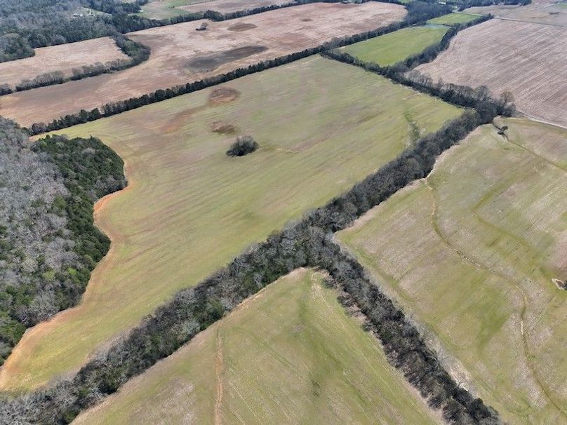 DJI_20260320133343_0035_V