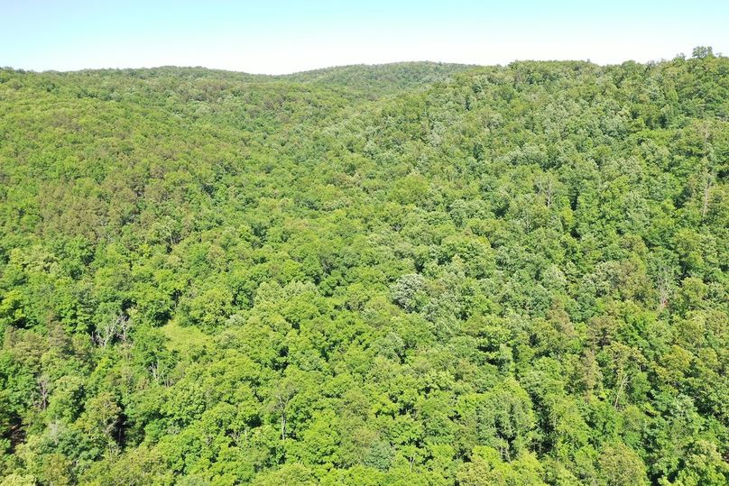 DJI_0945