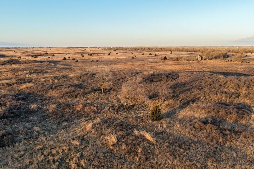 DJI_20260311082426_0533_D