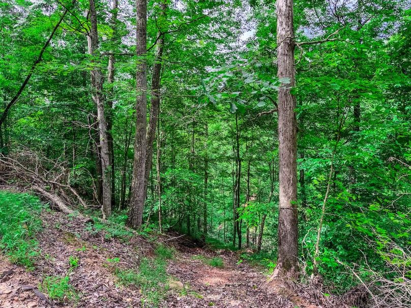 Wirt, WV 137.45 AC Full-45