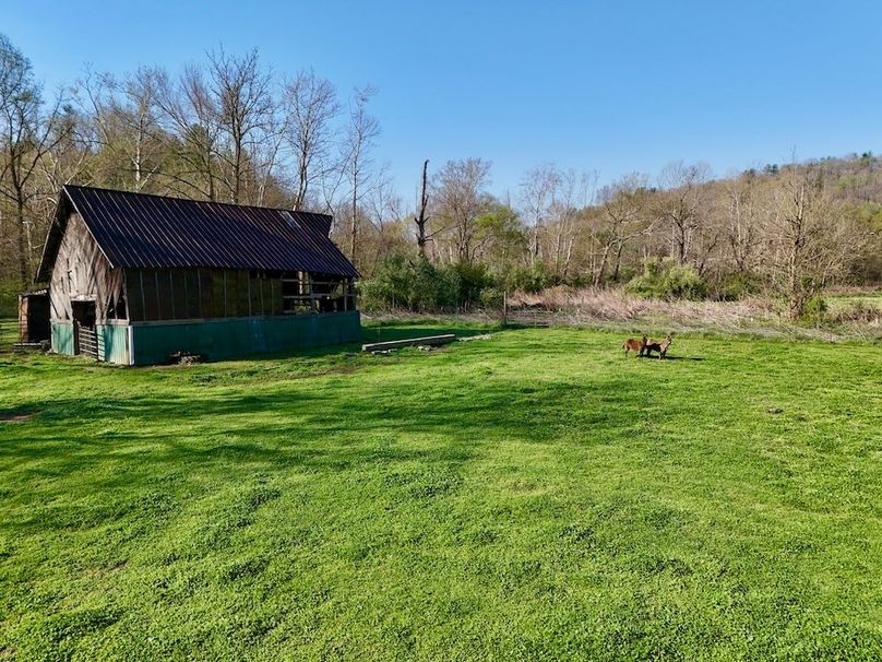 Scott Co TN 286 Keeton_015