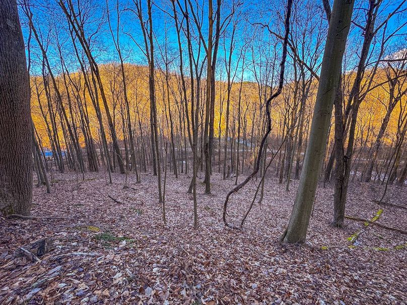 Pleasants, WV 81 AC Barron-19