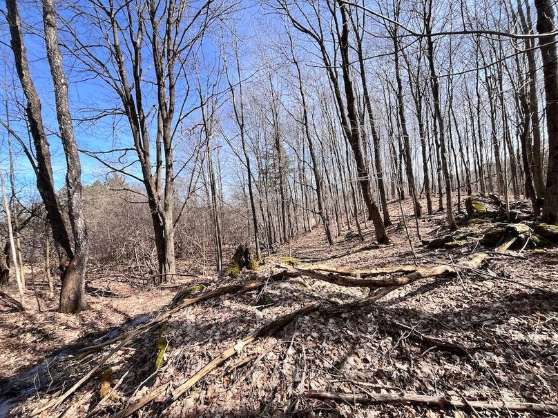 Lewis_26_Somberg Photo 16