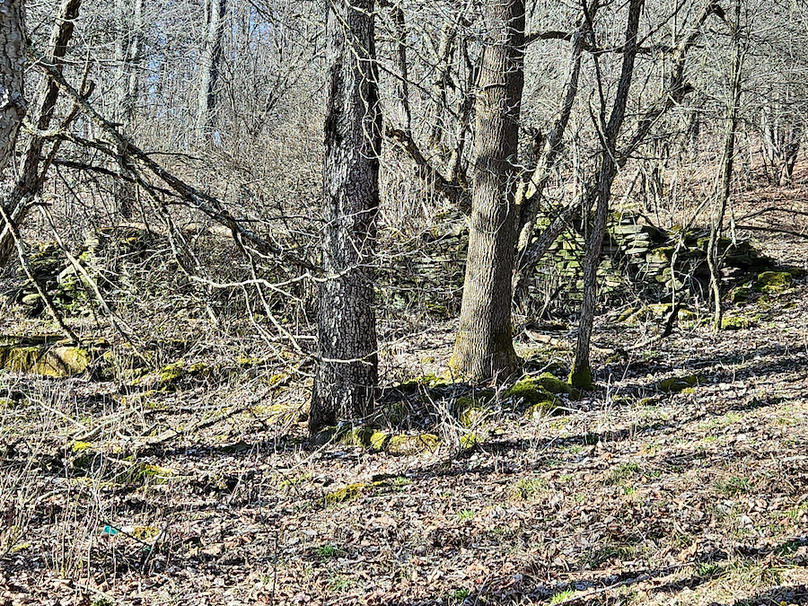 photo_4d0954de-3336-4413-a544-67a33bb58b8c