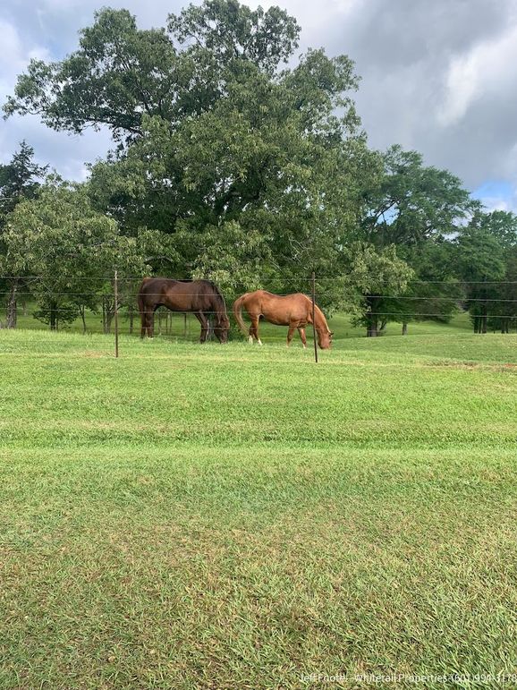 Hinds - 25.48 - Hank Beasley-9