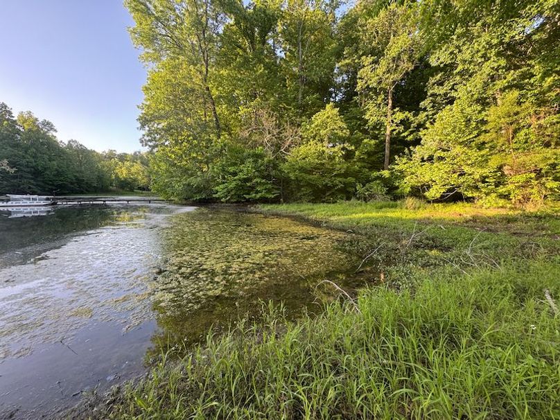 Desoto 8.3 Clement (Final Frontier) -10