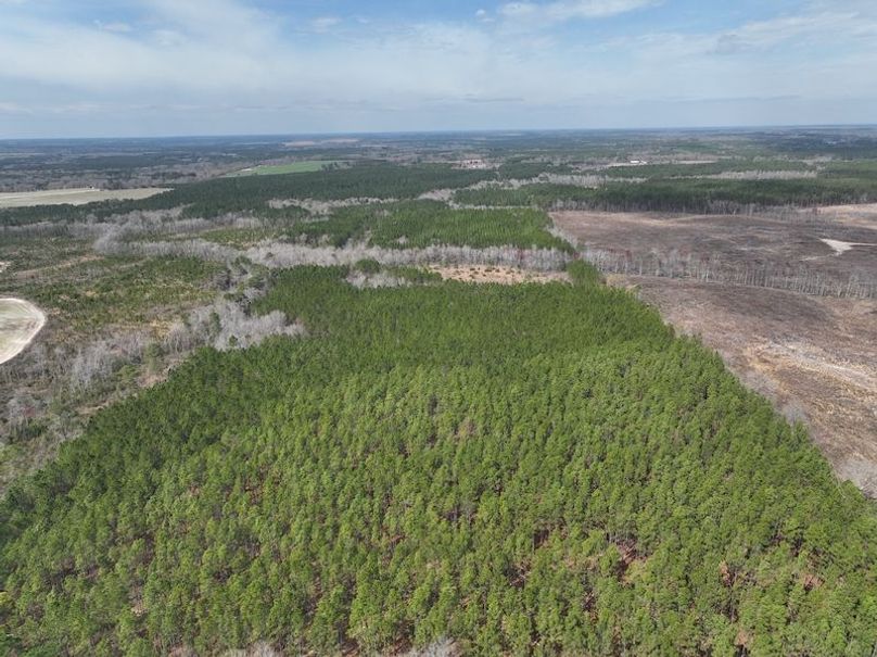 dji_fly_20240227_124620_131_1709056318873_photo