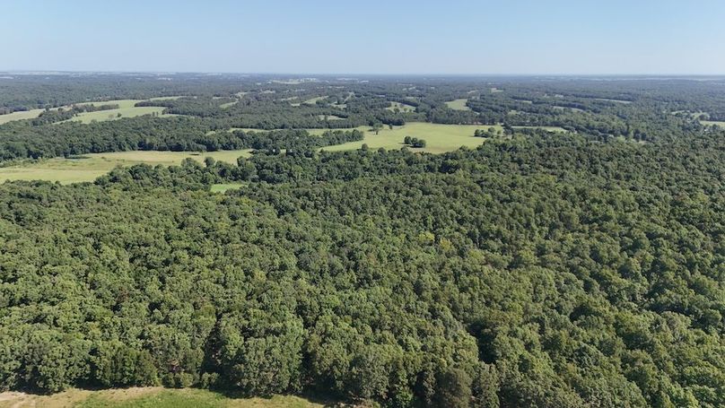 DJI_20250730110541_0005_D