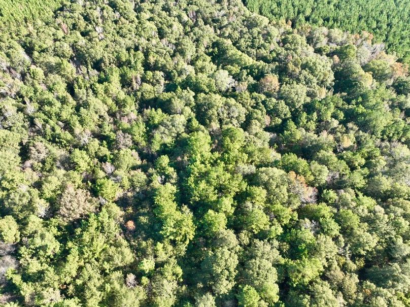 dji_fly_20251031_100806_985_1761919967940_photo