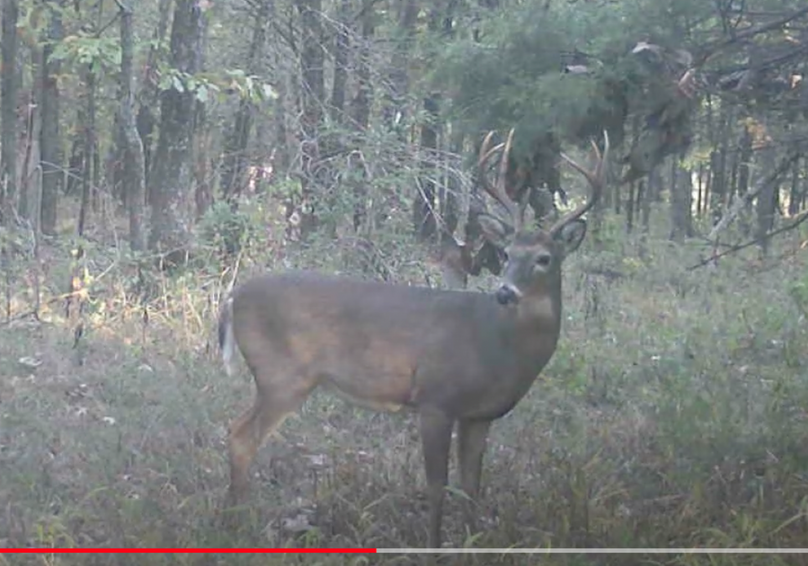 Screen Shot 2024-01-22 at 6.09.06 AM