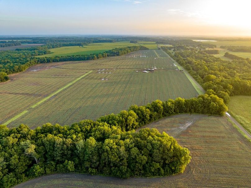 Copy of Noxubee 40 Tract 2-07