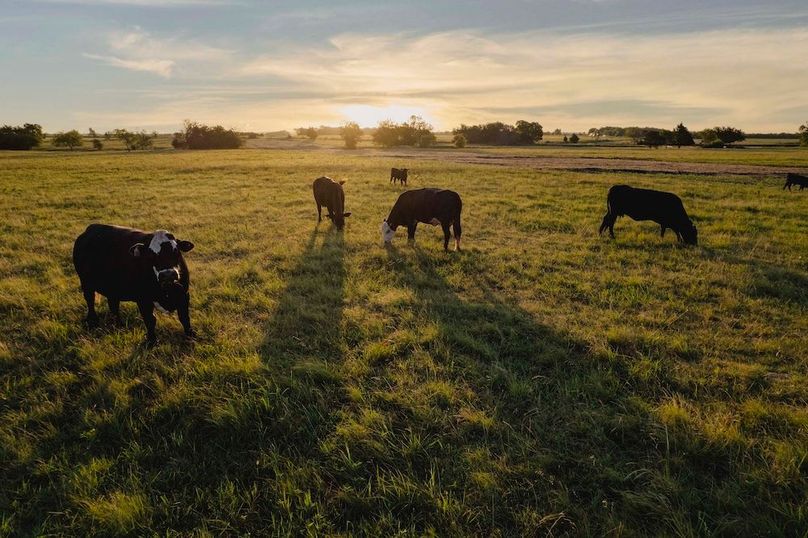 Hunt County 41.38 Acres (8 of 52)