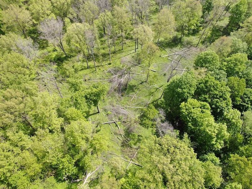 DJI_0946