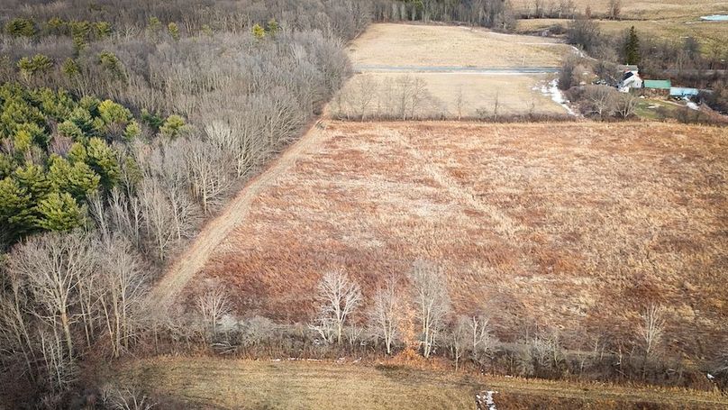 Seneca_24.54_Hohwald_Photos_43