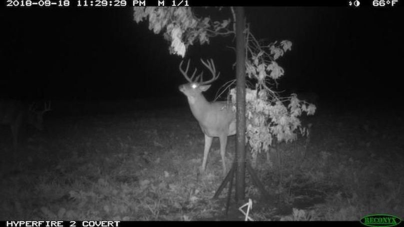 2018-09-18 23-29-29 M 1_1