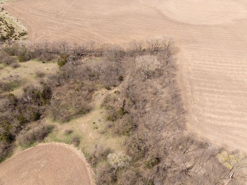 20240405-DJI_20240405120556_0049_D