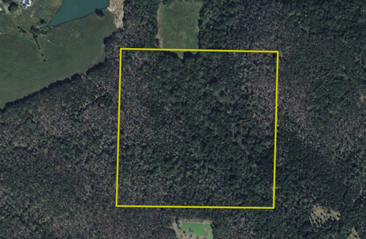 Screenshot 2025-09-17 at 4.14.08 PM