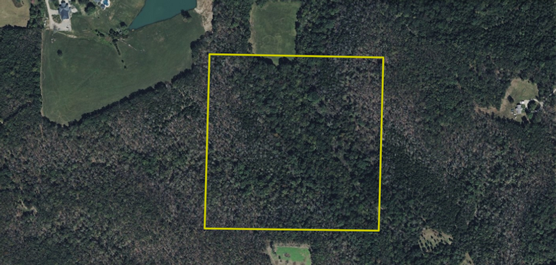 Screenshot 2025-09-17 at 4.14.08 PM