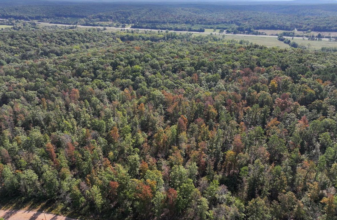 DJI_20250925100246_0693_D