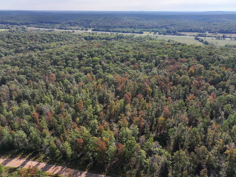 DJI_20250925100246_0693_D