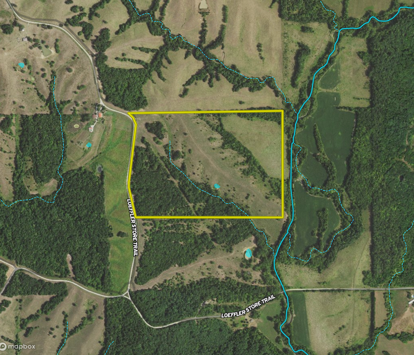 Screenshot 2024-07-15 at 10.02.40 AM