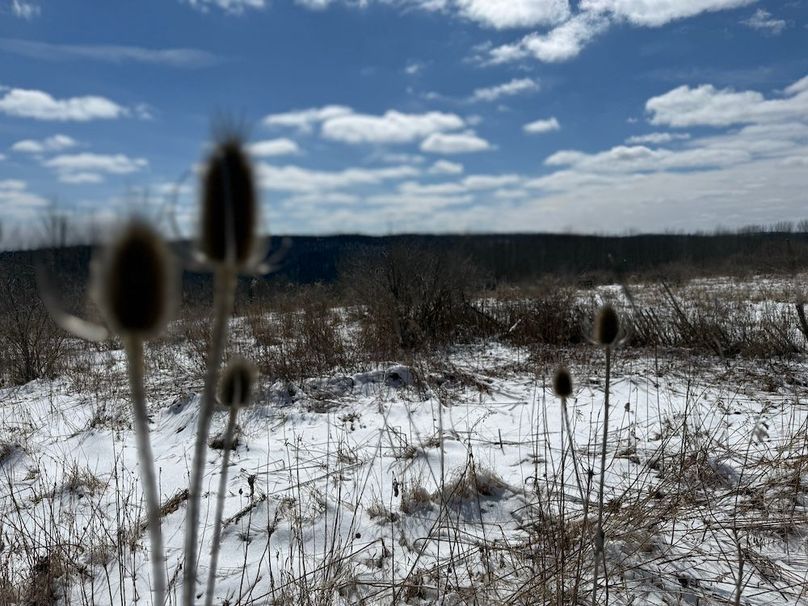 Chemung_43.23_Lippincott Photo 40