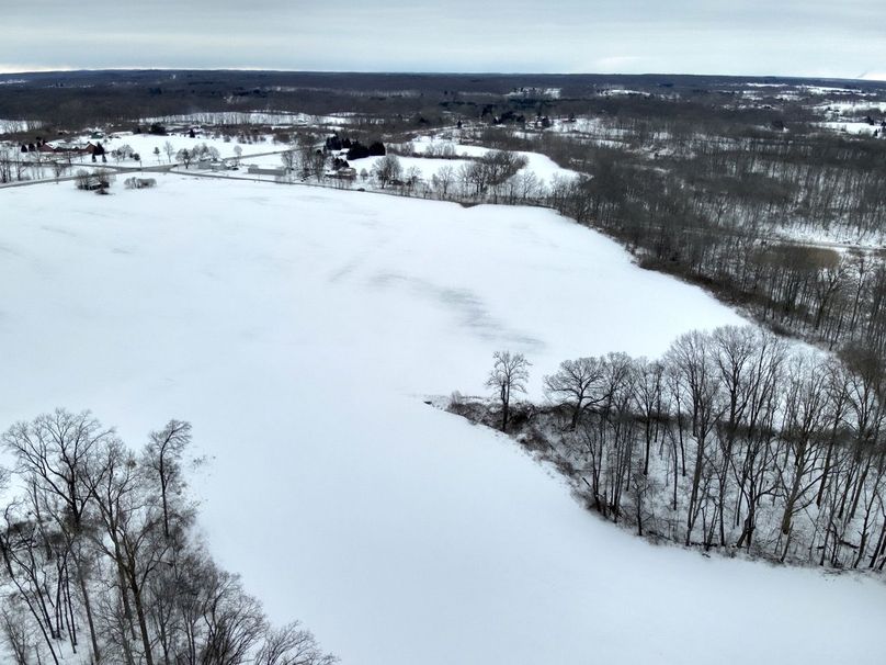 Copy of Tract 5 interior looking to Onsted Hwy_M-50 Large