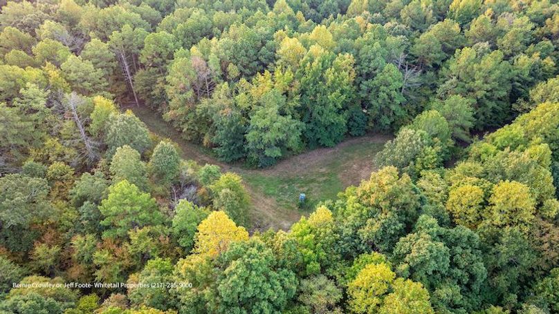 Tallahatchie 847 Messina-78