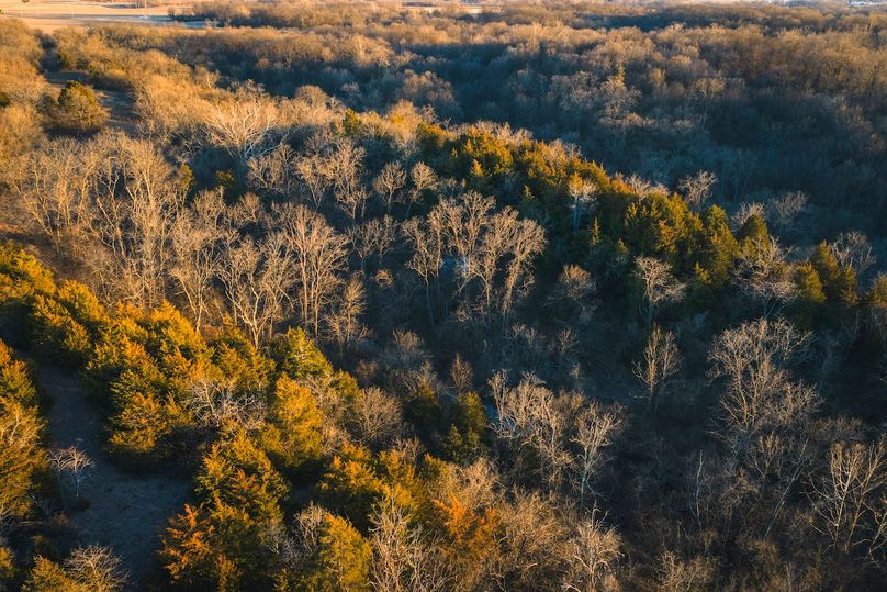 DJI_20260121163707_0456_D