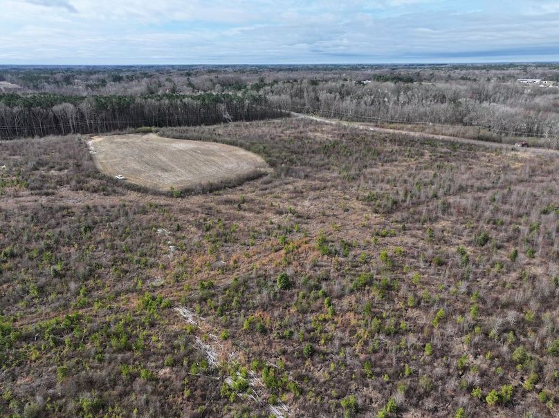 DJI_20240305095014_0016_D