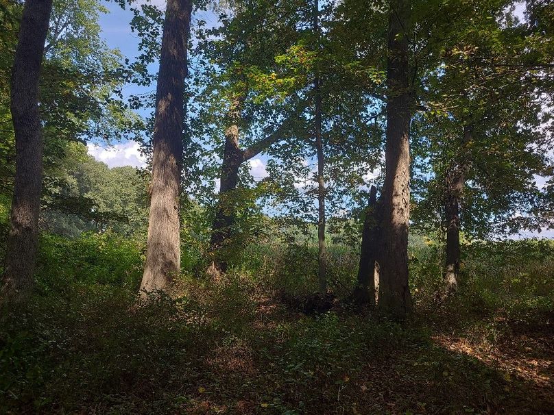 31.40ac_QAnnes_PIC_011