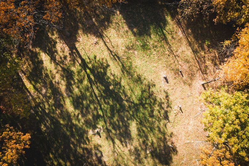 DJI_20251107112756_0867_D-HDR