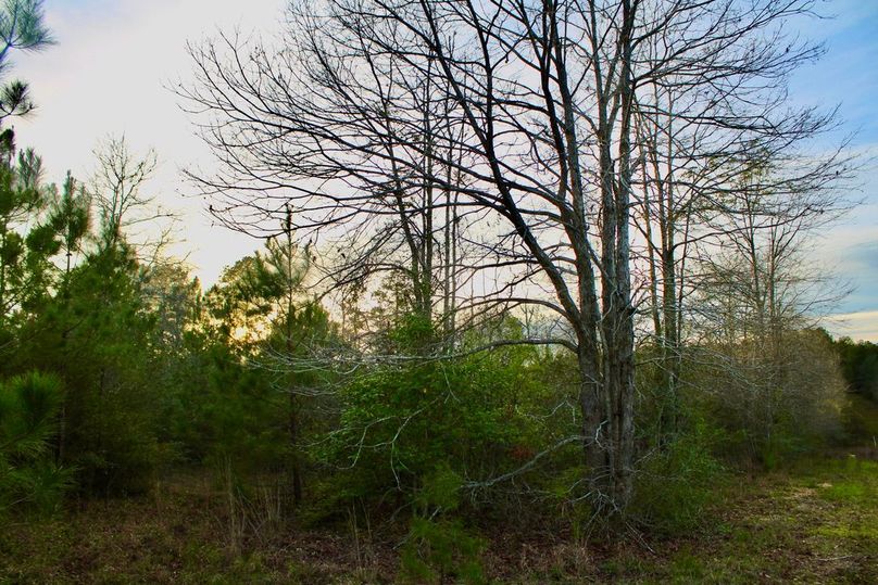 3648766F-0BE0-4F48-ADBA-B86880AB9E2A_1_105_c