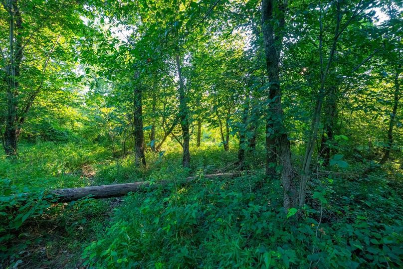 Copy of DSC06252 Large