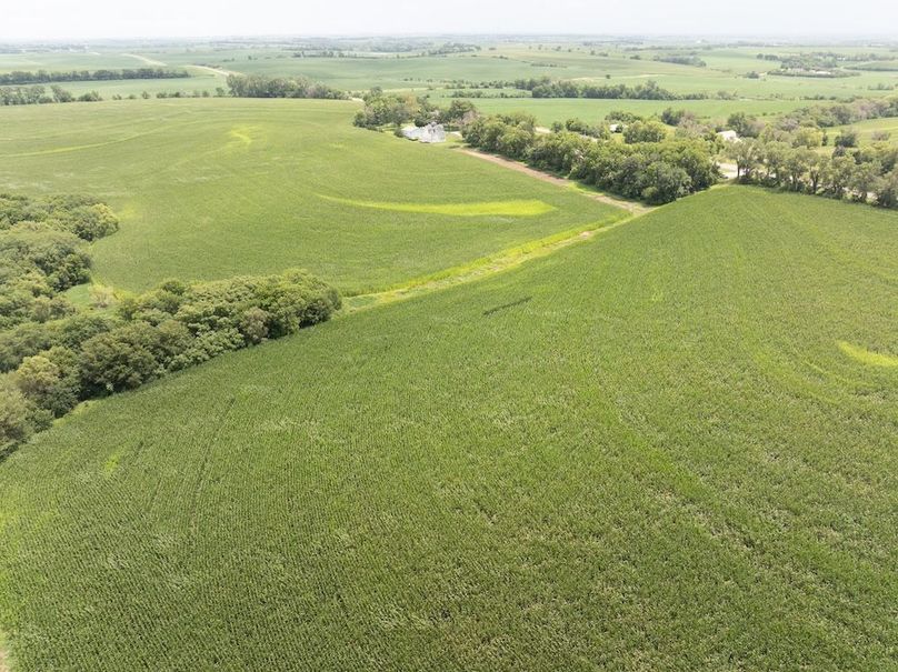 Copy of DJI_20250720135933_0094_D