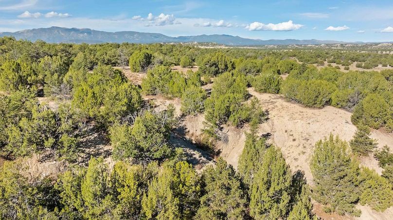 DJI_20250929103210_0123_D_1