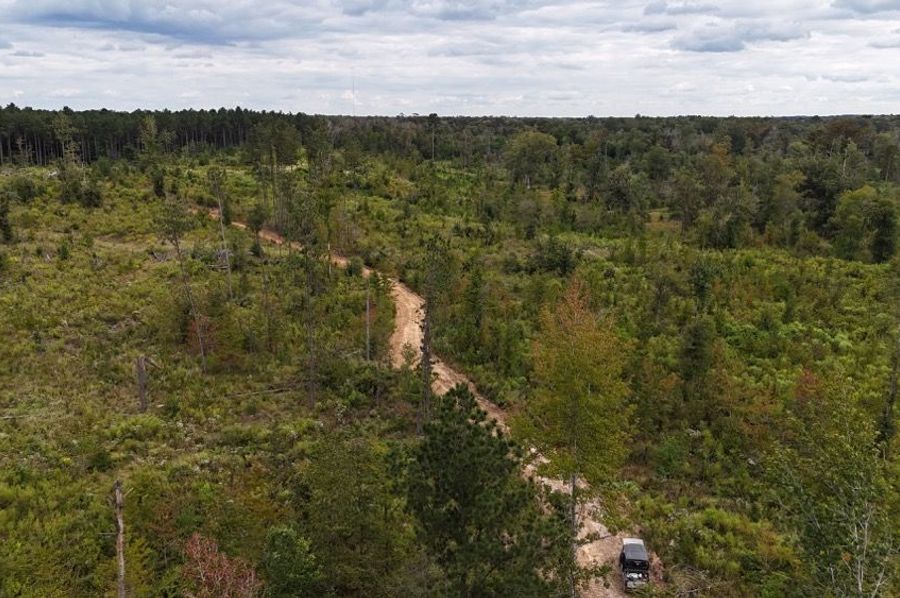 DJI_20240930042041_0131_D