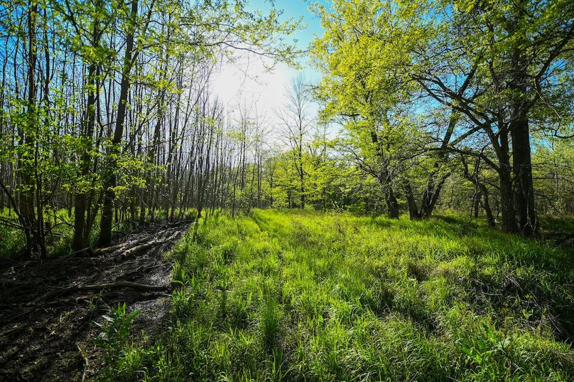 vandalia 450 (2)-3051