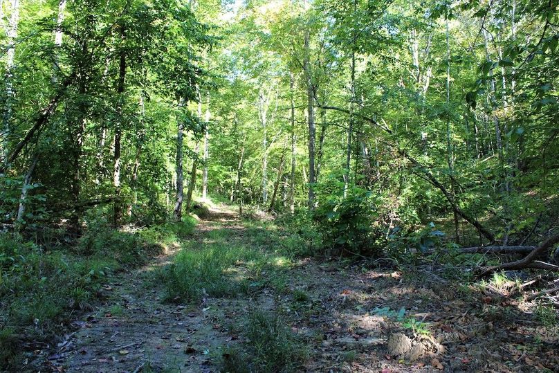 025 more of the good trail network about the property