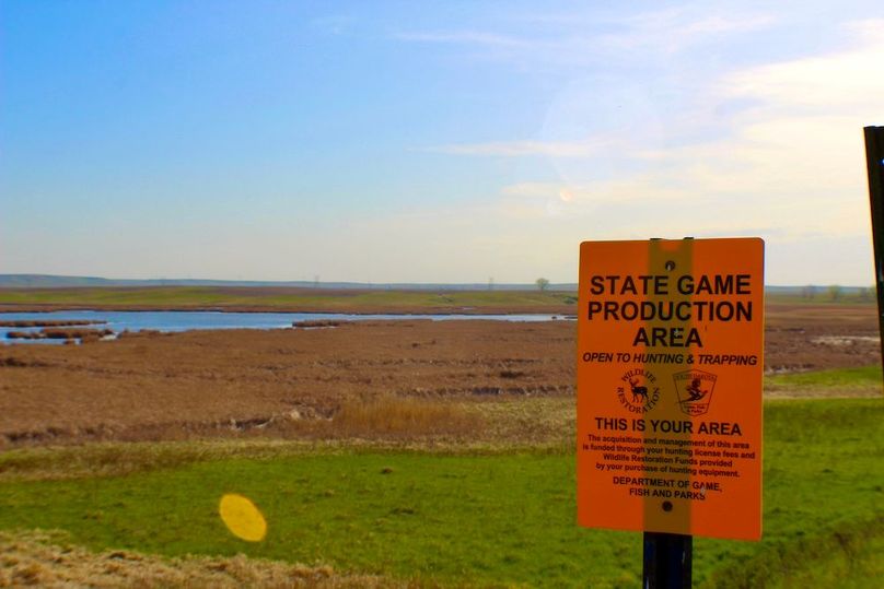 Game_Production_Area(1)