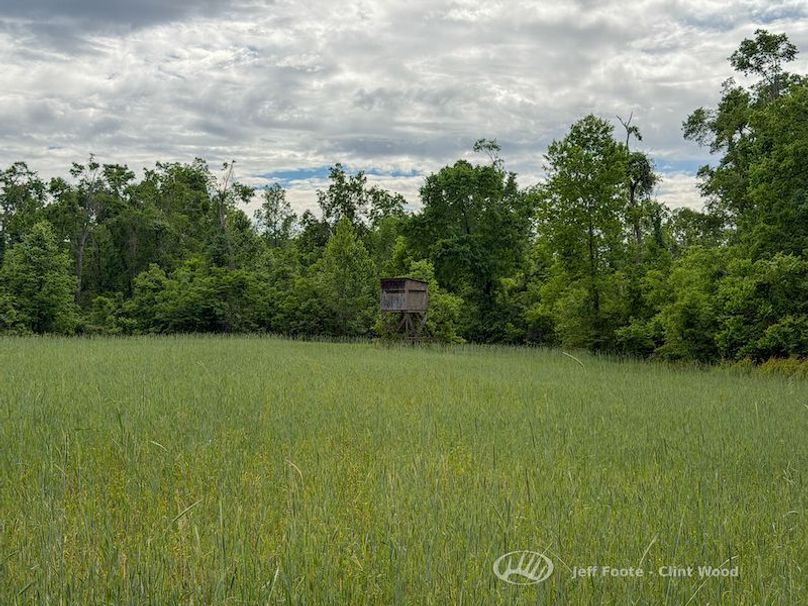 Washington Co - 980 - Patrick-72