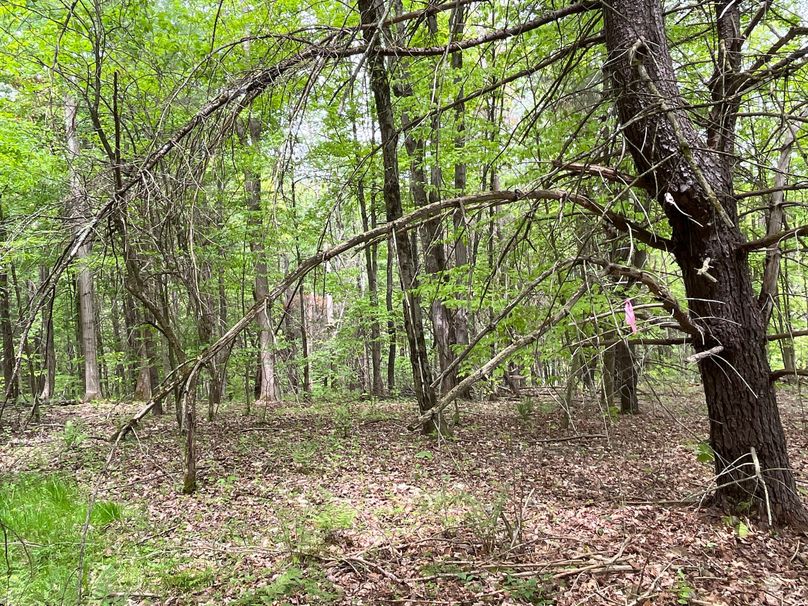 Tioga_18.72_Coulson Photo 21