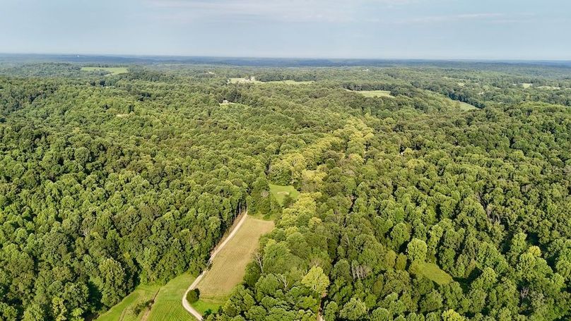 dji_fly_20250819_093718_0590_1755617539595_photo