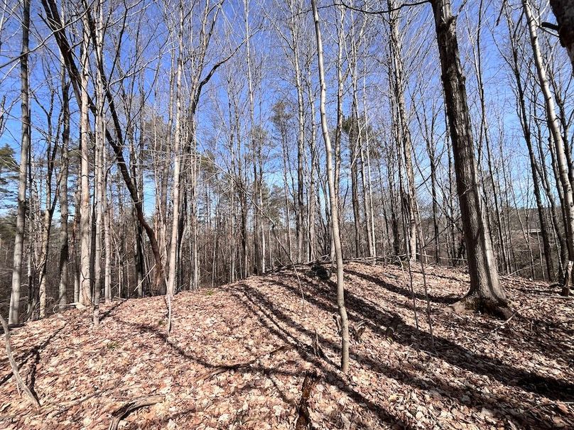 Lewis_26_Somberg Photo 58