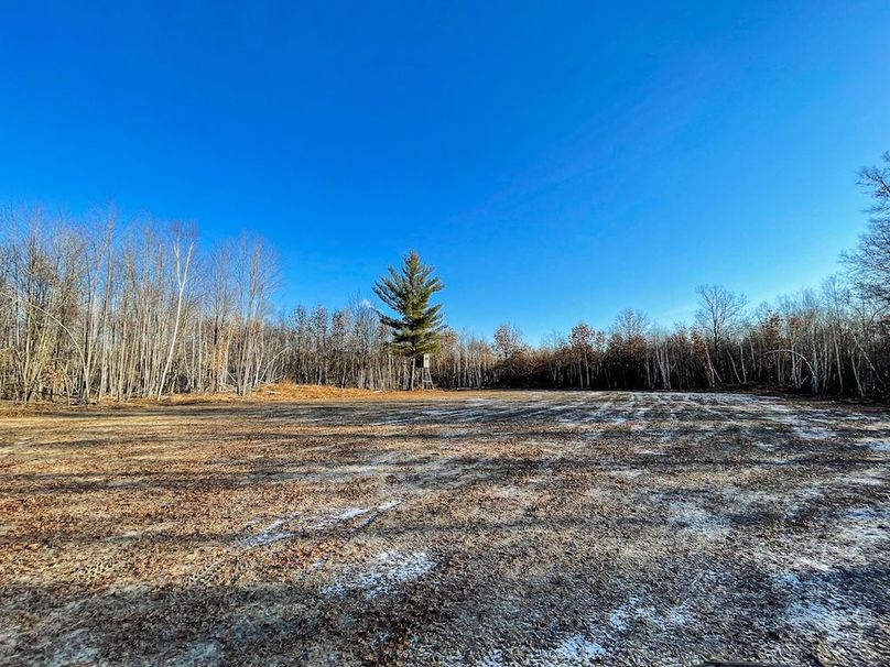 ClarK 160 WILLIAMS -18