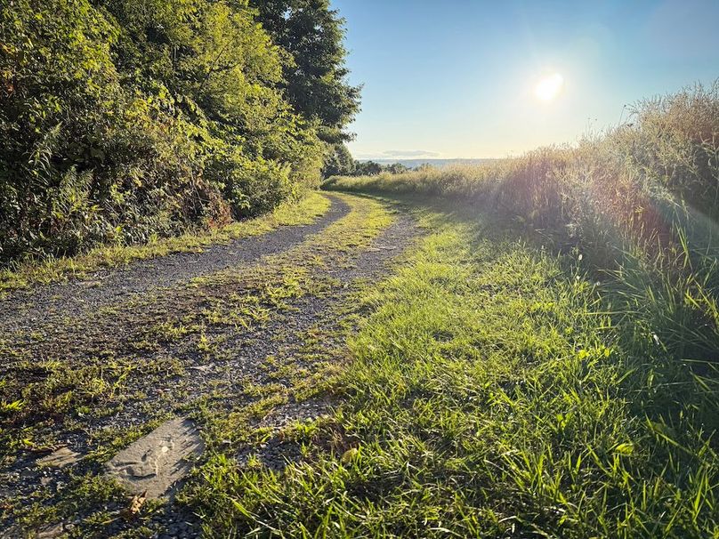 Seneca_65_Engels Photo 62