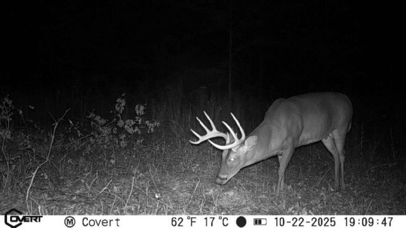 10_22_2025_19_09_47_3218313269