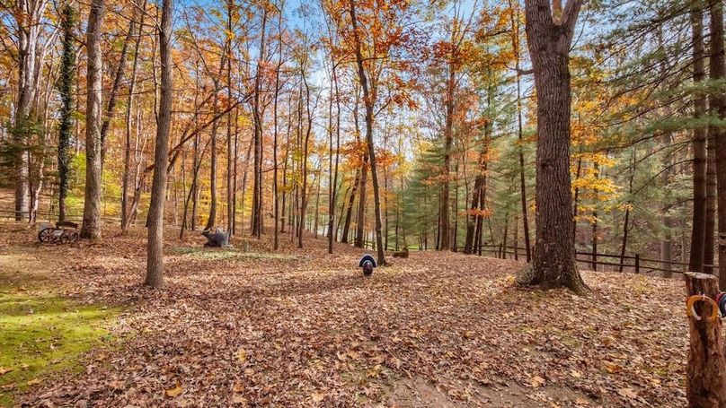 56-z 46585 Morning Star103-2